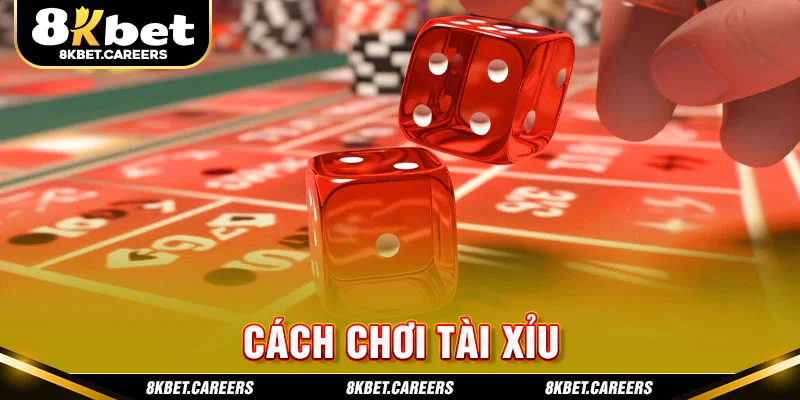 Cách Chơi Tài Xỉu Không Lo Thua Lỗ Dành Cho Người Mới